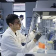 Scientist in a white lab coat uses a micropipette inside a biosafety cabinet, with lab supplies on the bench and another researcher in the background.