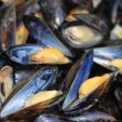 Open blue mussels with orange meat piled together in a seafood dish.
